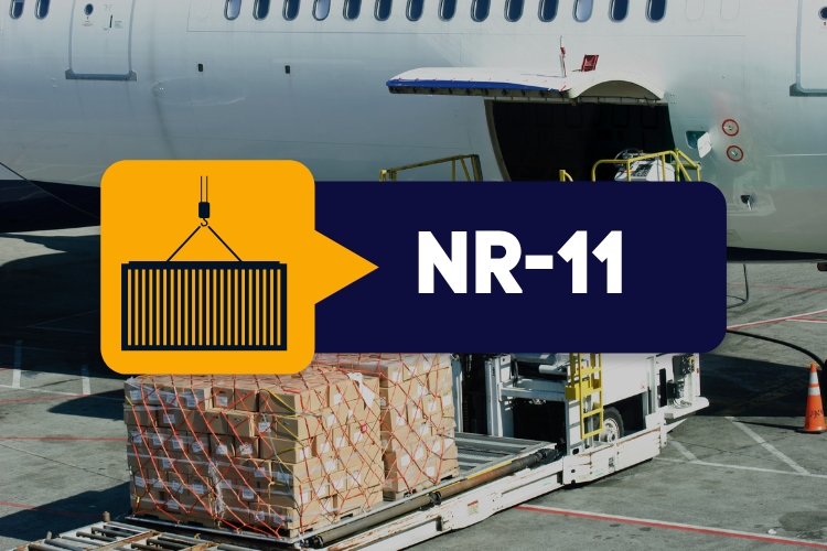 NR 11 – Amarração, Movimentação e Manuseio de Cargas – Teórico