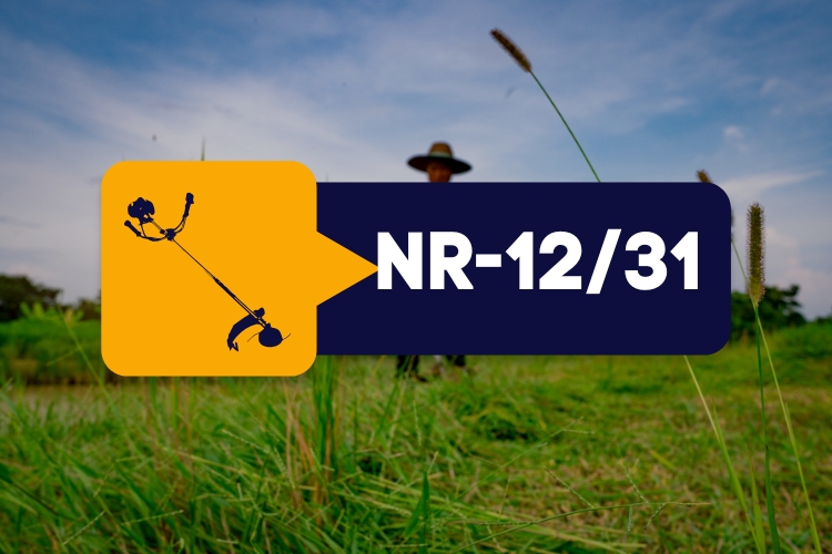 NR 12/31 – Roçadeira Costal – Teórico